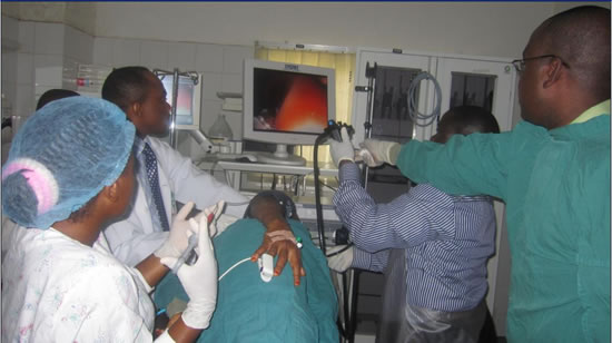 Endoscopic training session at the National Hospital Abuja, Nigeria, 2011